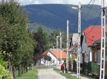 Percorso A piedi Sajóvelezd - KT - Photo