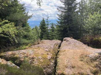 Tocht Stappen Taintrux - Marche 06-06-22 24km - Photo