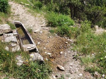 Trail Trail Montmaur - col de matachar - Photo