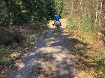 Percorso Equitazione Raon-l'Étape - Yogo Claude tivio kaline - Photo