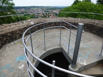 Percorso A piedi Karlsbad - Langensteinbach Kurfürstenbad - Ittersbach Bienenstand - Photo