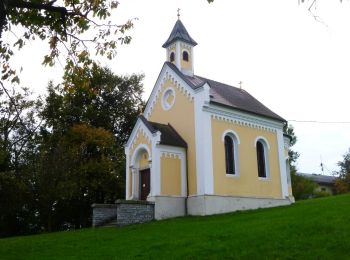 Tocht Te voet Hinzenbach - Wolfgangrunde - Photo