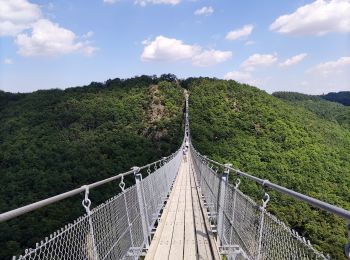 Tour Wandern Mörsdorf - Promenade vers le pont de Geierlay   - Photo