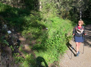 Trail Walking Courchevel - Courcheveles crete charbet, petit mont blanc - Photo