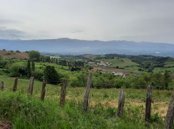 Trail Road bike Crozes-Hermitage - Rando les Rustines 75km - Photo