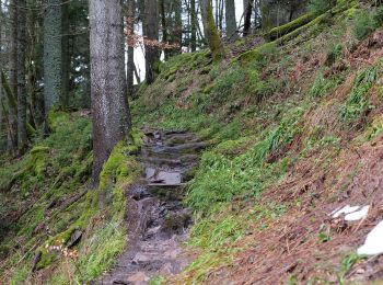 Tocht Te voet Freudenstadt - Freudenstadt - Kniebis - Photo