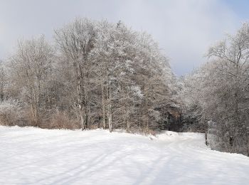 Tour Wandern Bouvante - Col de la Machine - Photo