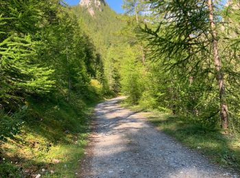 Trail Walking Champcella - Col de Tramouillon - Photo