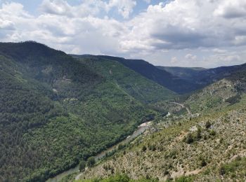 Trail Walking Gorges du Tarn Causses - Mas Andre/ Tonnas - Photo