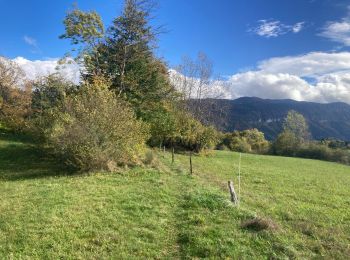 Percorso Bici ibrida Saint-Martin-en-Vercors - Saint Martin en Vercors  - Photo