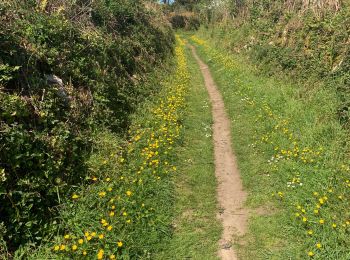 Trail Walking Plouguerneau - Wrach - Photo