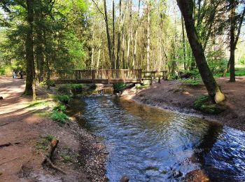 Tour Zu Fuß Drestedt - Wanderweg Drestedt - Hollenstedt - Photo