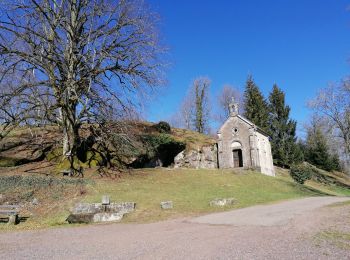 Randonnée Marche Sainte-Marie-en-Chanois - mille étangs circuit des 2 chapelles  - Photo