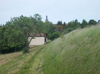 Trail On foot Großheringen - Rundweg Kaatschen-Tultewitz - Photo