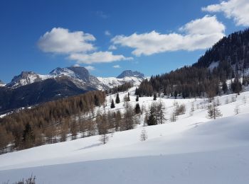 Trail Touring skiing Méolans-Revel - Crête des Gliérettes - Photo