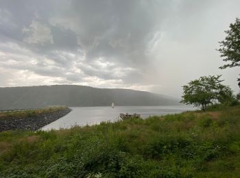 Randonnée A pied Frauenau - Siebenstern - Photo