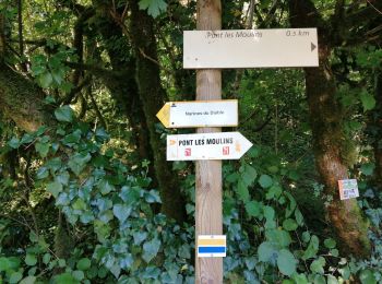 Trail Walking Pont-les-Moulins - 2020 07 12 Guillon, les narines du diable - Photo