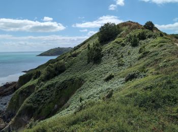 Trail Walking Binic-Étables-sur-Mer - Binic la Banche - GR34 Plage des Rosaires - 22.2km 530m 5h10 (35mn) - 2024 07 04 - Photo