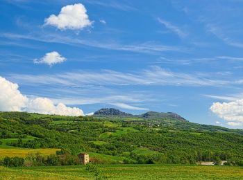 Tocht Te voet Bobbio - Mezzano Scotti - Areglia - Costa della Rasa - Photo