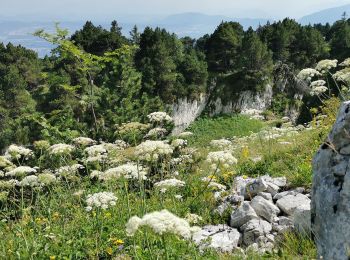 Tour Wandern Mijoux - 2020-07-12_16h25m21_4 PED - MONTS & COMTE Chalet de la Dole - Col de la Faucille - L - Photo