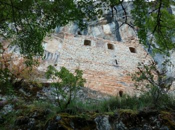 Trail Walking Brengues - Roc quercynoix 2019 - Photo