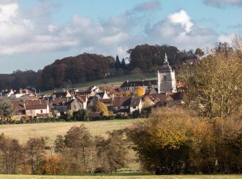 Trail Walking Bretoncelles -  Bretoncelles - Condé-sur-Huisne 13 km - Photo