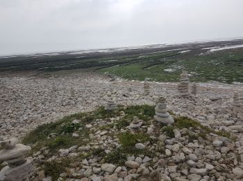 Tour Wandern Saint-Denis-d'Oléron - chassiron - Photo