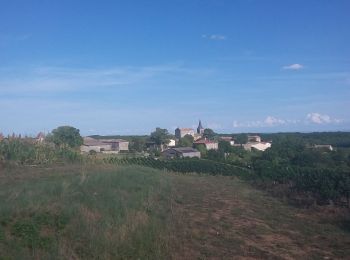 Tocht Stappen Campagnac - Campagnac Saint Bauzille - Photo