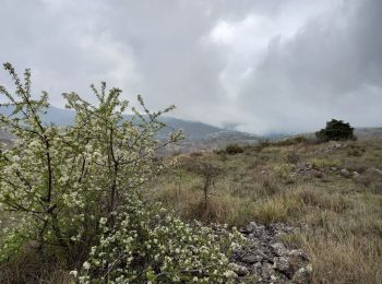 Tocht Stappen Vence - Circuit des Blaquières 20-04-22 - Photo