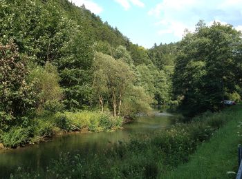 Excursión A pie Waischenfeld - Rundweg Riesenburg - Engelhardsberg - Schottersmühle - Photo