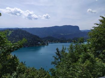 Excursión Senderismo Bled - Chateau🏰 de Bled - Photo