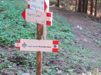 Trail On foot Malcesine - Sentiero dei Contrabbandieri - Photo
