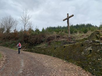 Randonnée Marche Bouillon - Noordelijke bossen Bouillon 15 km - Photo