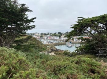 Tocht Stappen Le Palais - Belle-Ile Palais - Sauzon - Photo