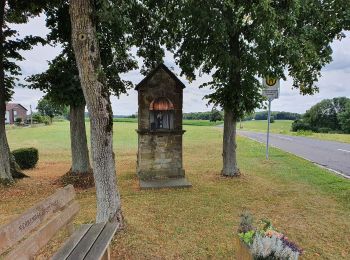 Tour Zu Fuß Much - Much Rundweg A6 - Photo