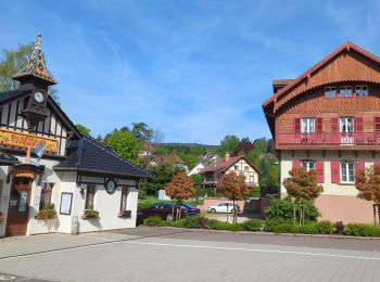 Percorso Marcia Le Hohwald - Hohwald - Rothlach - Neuntelstein - Photo