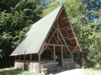 Randonnée A pied Jagsthausen - Olnhausen-Bannholz - Photo