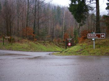 Tocht Te voet Nothweiler - Grenzgängerweg / Le sentier à saute frontier - Photo