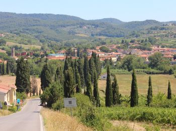 Trail On foot Scandicci - IT-738 - Photo