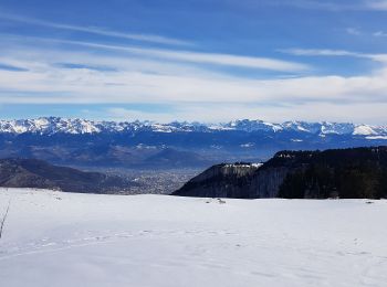 Excursión Raquetas de nieve Autrans-Méaudre en Vercors - La Grande Brèche - La Buffe - La Sure (2022) - Photo