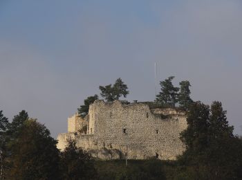 Tocht Te voet Weigendorf - Rundweg um Lichtenegg - Photo