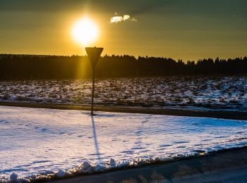 Tocht Te voet Weißenstadt - Rundwanderweg Weißenstadt Nr. 4 - Photo