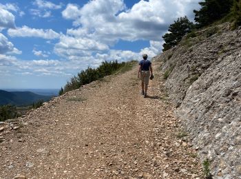 Trail Walking Guixers - Col de Jou - Photo