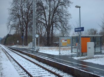 Tour Zu Fuß Beverungen - Weserhöhen-Wanderung 