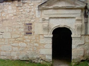 Tour Wandern Fontevraud-l'Abbaye - Fontevraud - Photo