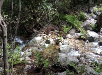 Tocht Stappen Moca-Croce - piscia di l onda - Photo