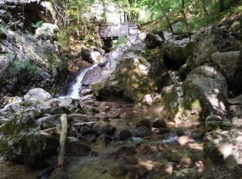 Randonnée Marche Saint-Vincent-de-Mercuze - les cascades Alloix et l' Enversin - Photo