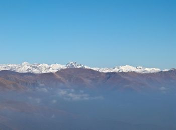 Tocht Te voet Zone - Inzino (Innesto Sentiero 315) - Monte Guglielmo - Photo