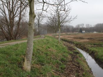 Trail On foot Waasmunster - Sombeke-Oude Durmeroute lus 2 - Photo
