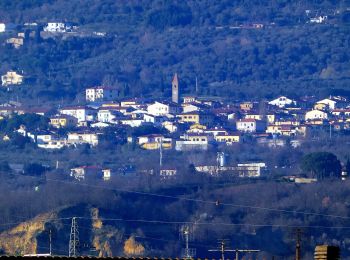 Tocht Te voet Castelfranco Piandiscò - IT-19 - Photo